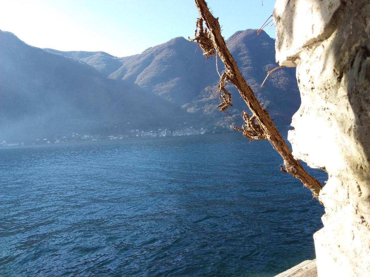 Romantic Home - Lake Como Nesso Εξωτερικό φωτογραφία