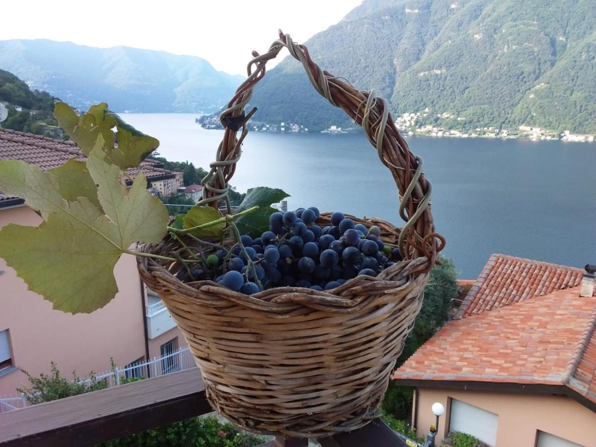 Romantic Home - Lake Como Nesso Εξωτερικό φωτογραφία