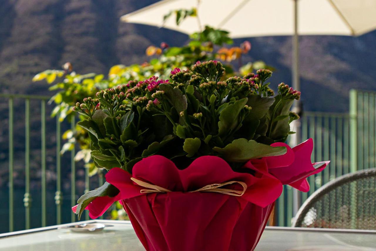 Romantic Home - Lake Como Nesso Εξωτερικό φωτογραφία